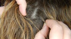 download-2025-03-02T162139.856-1 download-2025-03-02T162139.856.jpg